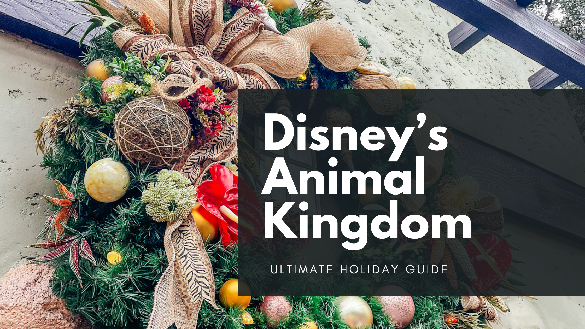 Disney’s Animal Kingdom During the Holiday Season: A Different Kind of Disney Magic