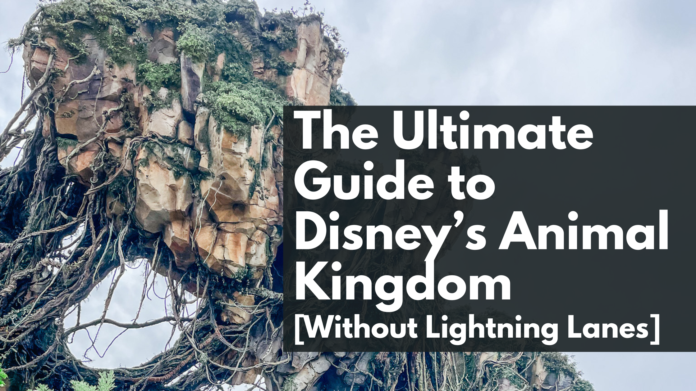The Ultimate Guide to Disney’s Animal Kingdom (Without Lightning Lanes)
