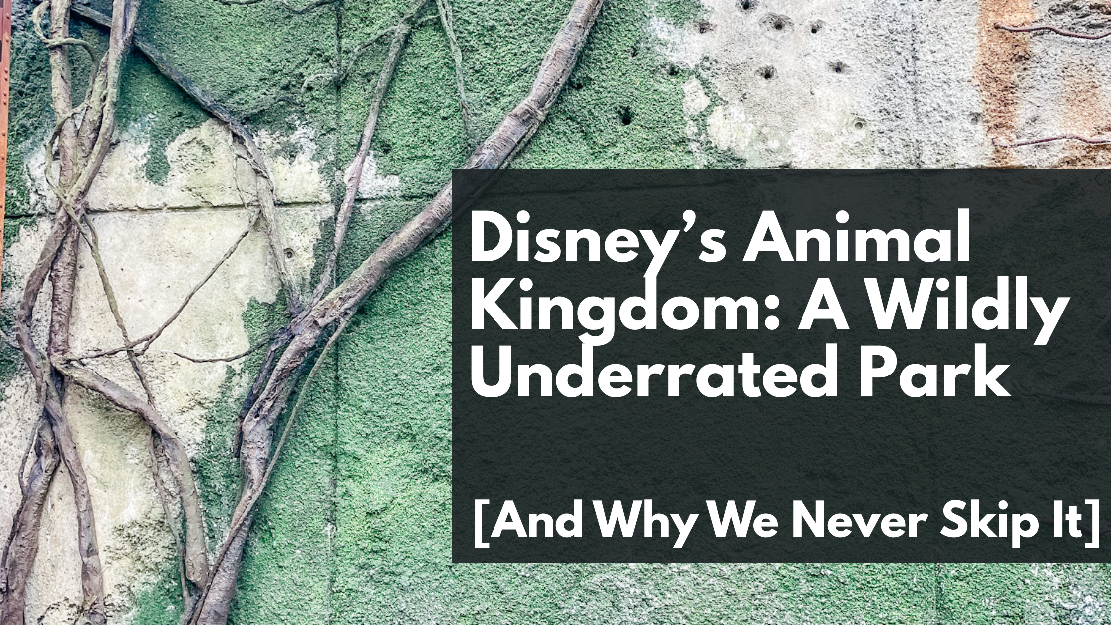 Disney’s Animal Kingdom: A Wildly Underrated Park (And Why We Never Skip It)