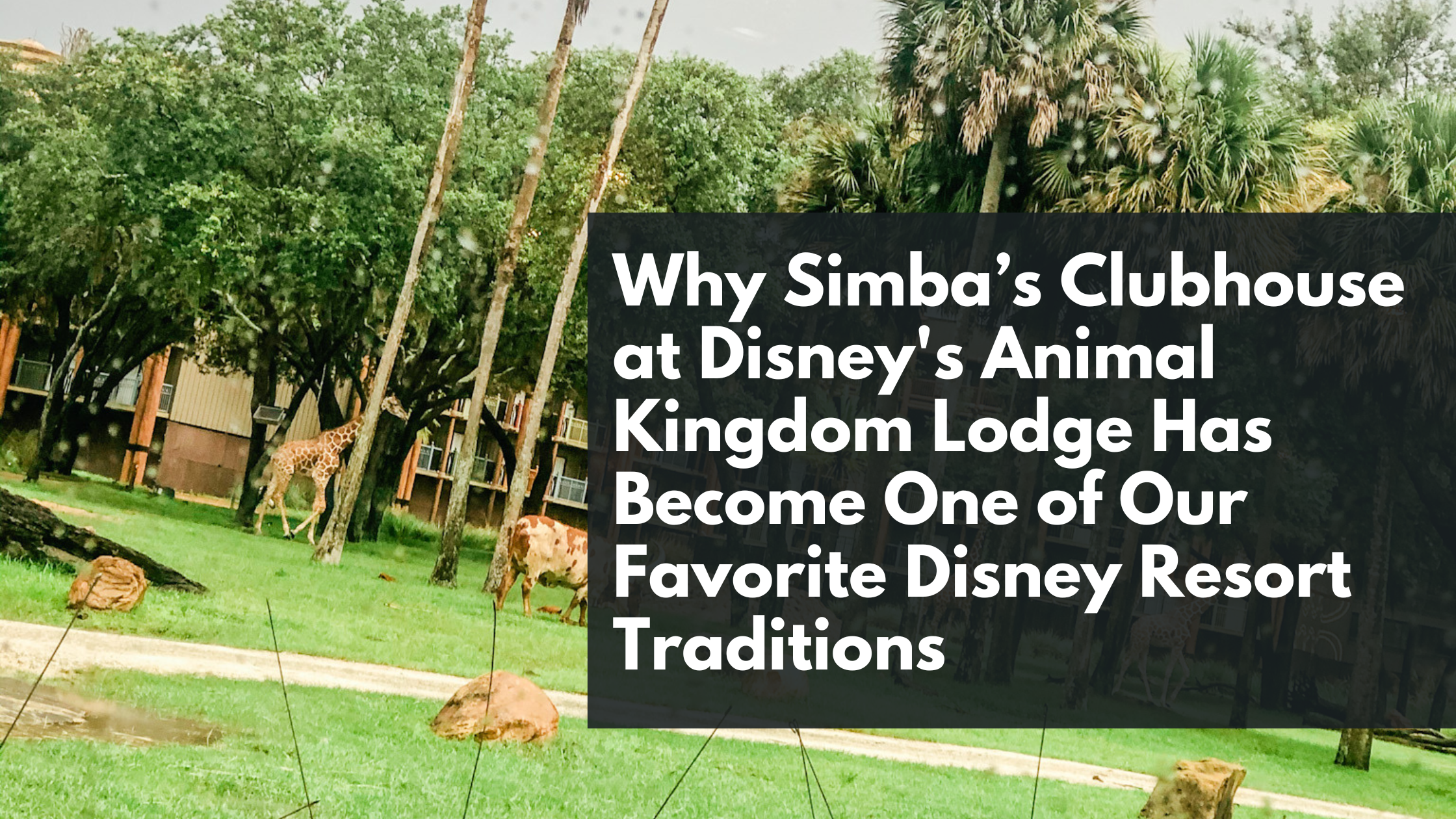 Why Simba’s Clubhouse at Disney’s Animal Kingdom Lodge Has Become One of Our Favorite Disney Resort Traditions